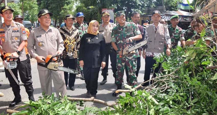 Dinas PRKP dan Forkopimda Lamongan Pangkas Pohon Rawan Tumbang