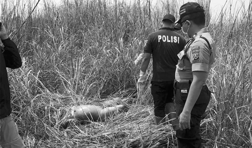 Polisi Bekuk Pembunuh Mahasiswi Akper yang Tewas Telanjang di Semak-Semak Pergudangan Lingkar Timur