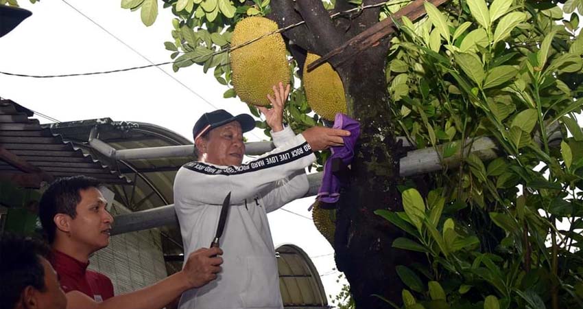 Tanah Pekarangan di Lamongan Kini Banyak Ditanami Komoditas Produktif, Dukung Ketahanan Pangan