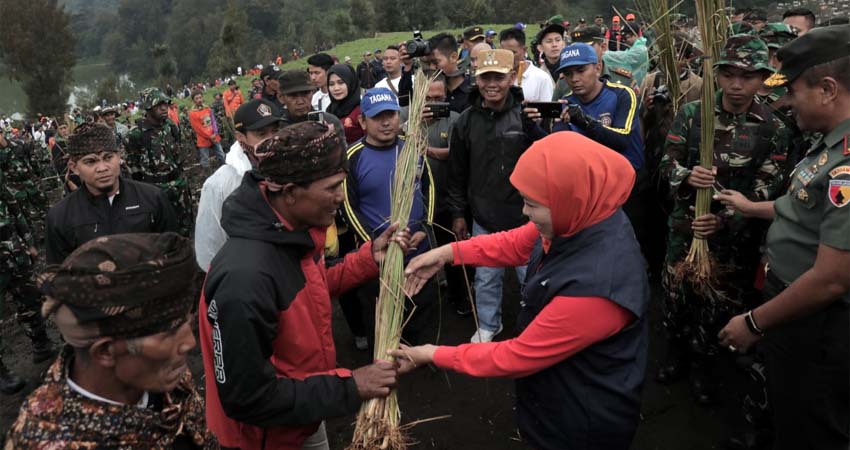 Bupati Lumajang Dampingi Gubernur dan Pangdam Tanam Rumput di Ranu Pani
