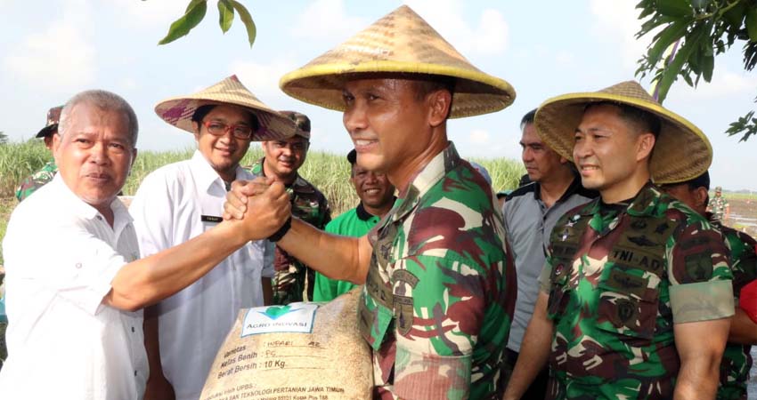 Demi Swasembada Pangan, Danrem 084 Bhaskara Jaya dan Forkopimda Sidoarjo Galakkan Olah Tanah dan Padi