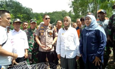 Didampingi dr Hj Faida MMr dan Forkopimda Jember, Gubernur Jawa Timur Khofifah Indar Parawansa kunjungi tebing yang longsor dan jalan terputus di Kali Jompo Klungkung Jember. (gik)