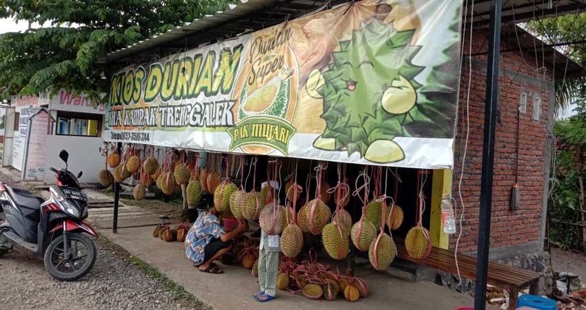 Salah satu lapak durian di jalan raya Trenggalek-Tulungagung. (mil)