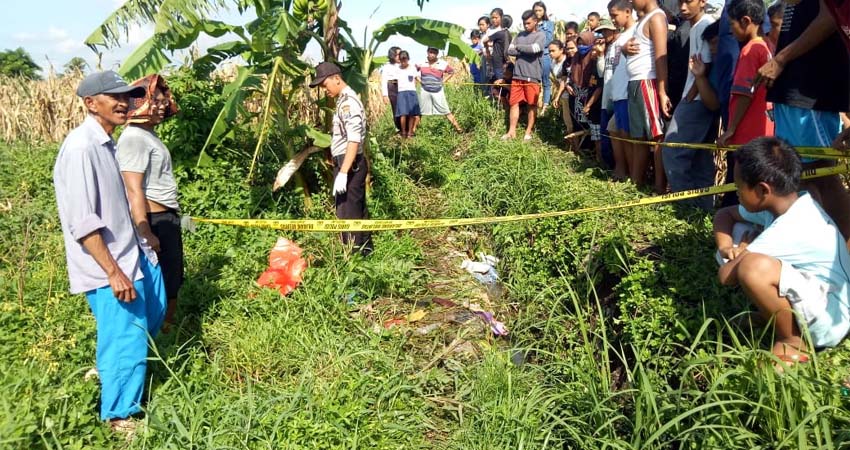 Pagi Bayi Mati Terbuang di Got Sawah, Malam Bayi Menangis di Rumah Kosong