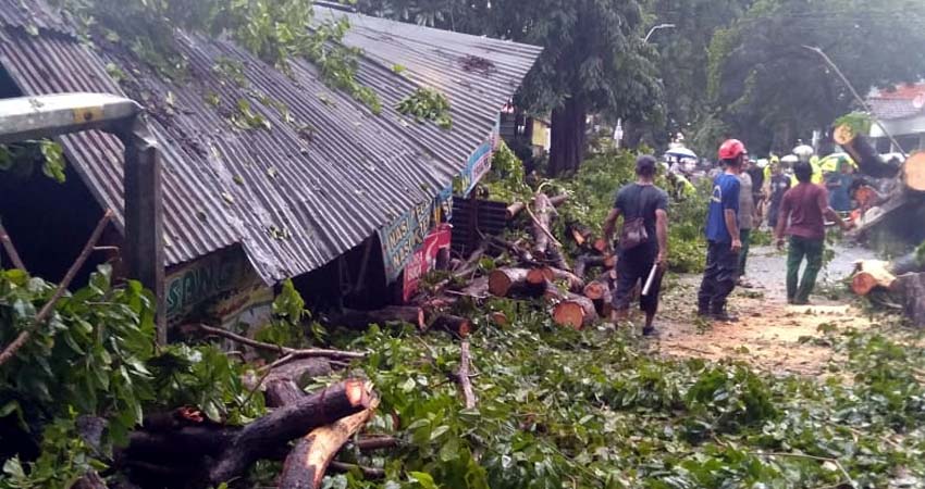 EVAKUASI - Sejumlah petugas mengevakuasi pohon tumbang yang ada di JL Kombes Pol M Duriyat yang menimpa empat pengendara motor dan satu mobil hingga 4 korban dilarikan ke RSUD Sidoarjo, Senin (3/2/2020) sore