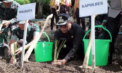 Rumput Vetiver, Solusi Atasi Tanah Longsor di Kota Malang