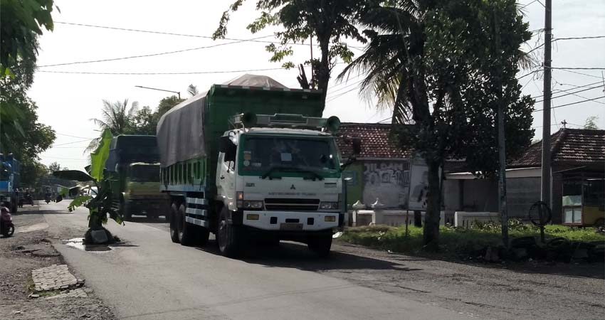 PROTES : Tidak ada perbaikan jalan, warga Lajuk melakukan aksi tanam pohong pisang ditengah jalan (gus)