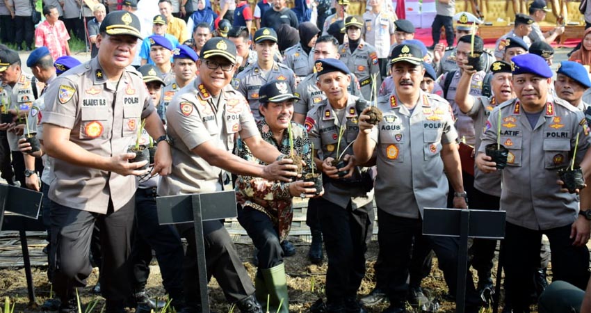 TANAM - Kabaharkam Polri Komjen Pol Agus Andrianto didampingi Kapolresta Sidoarjo Kombes Pol Sumardji dan Wabup Nur Ahmad Syaifuddin menanam 60.000 pohon Vetiver di Tanggul Sungai Porong, Kamis (12/03/2020)