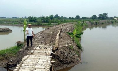 Jembatan Bambu Kedungpandan Rawan Ambrol, Puluhan Tahun Menuggu Jembatan Permanen