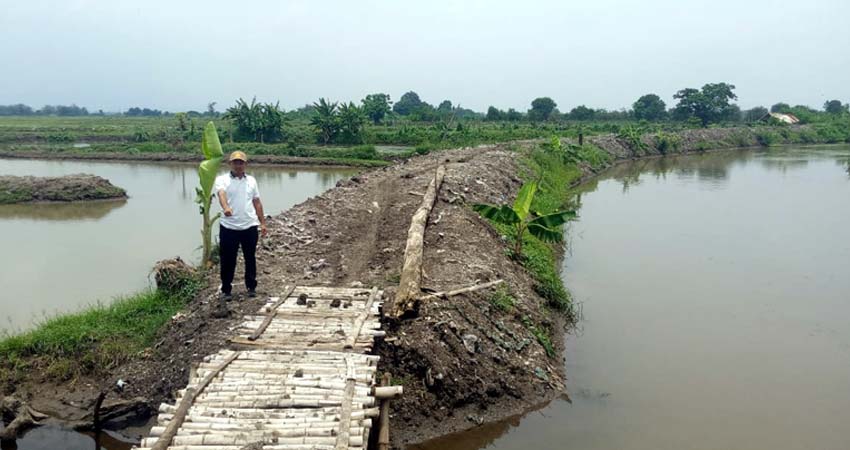 Jembatan Bambu Kedungpandan Rawan Ambrol, Puluhan Tahun Menuggu Jembatan Permanen