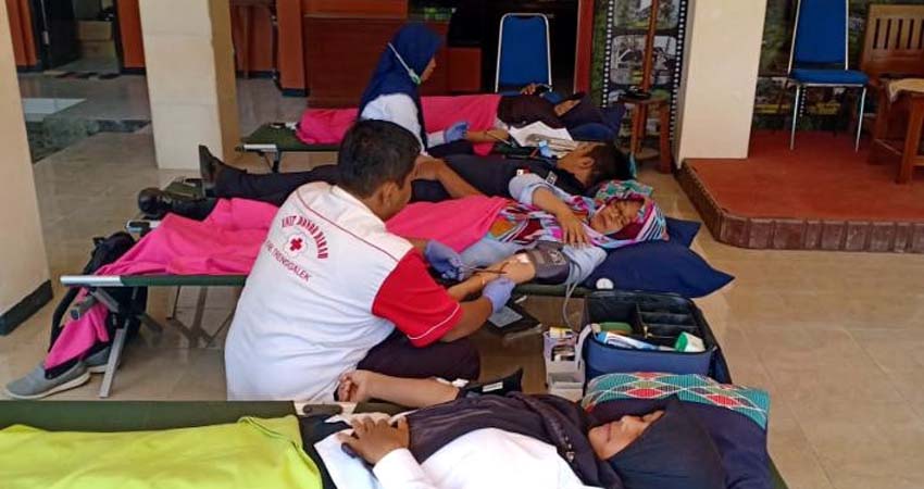 Pengambilan donor darah indoor oleh PMI Trenggalek. (ist)