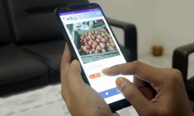 Dampak Covid-19, Diluncurkan Aplikasi Berbasis Android Pasar Online Lamongan