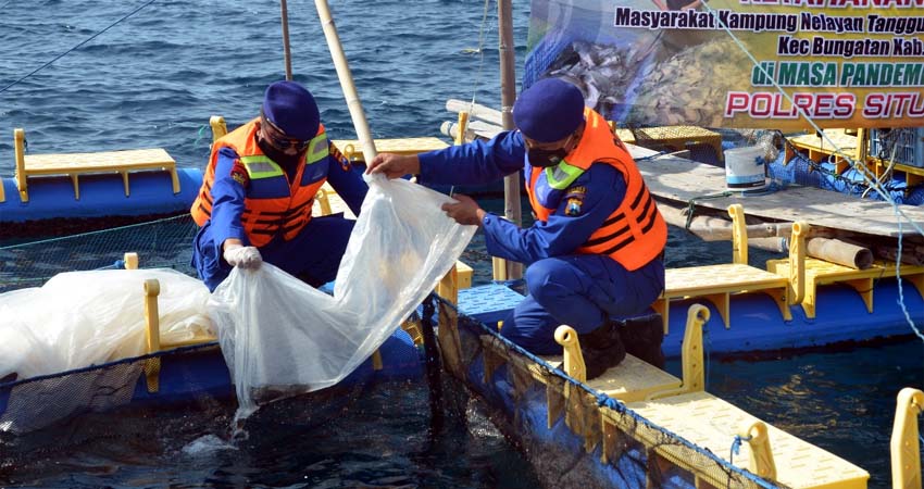 Penaburan benih oleh Kasat Polair AKP Lukman Hadi SH bersama Bhabinkamtibmas perairan dan perwakilan nelayan di pesisir pantai desa Kembangsambi. (im)