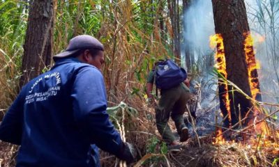 Antisipasi Kebakaran Hutan dan Lahan, BPBD Berencana Dirikan Pos Pantau