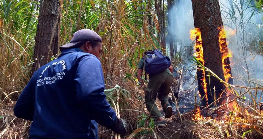 Antisipasi Kebakaran Hutan dan Lahan, BPBD Berencana Dirikan Pos Pantau