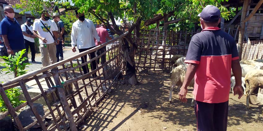 KAMPUNG KAMBING - Bacabup Bambang Haryo Soekartono (BHS) mengunjungi Kampung Kambing Dusun Suko, Desa Damarsi, Kecamatan Buduran, Sidoarjo sekaligus berdialog dan membantu bibit kambing unggulan, Sabtu (18/07/2020)