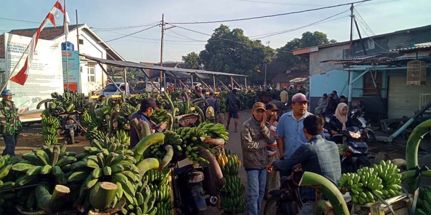 Geliat Pasar Buah Lumajang Utara di Tengah Pandemi Corona