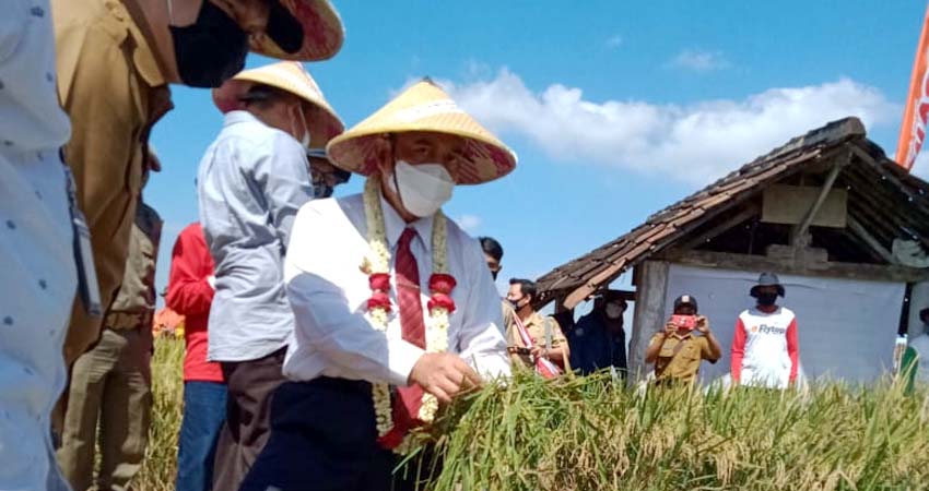 Kelompok Tani Sri Mulyo Minta Bantuan Perbaikan Saluran Irigasi