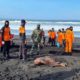 Mayat Pria Bugil Ditemukan di Pantai Wotgalih Lumajang