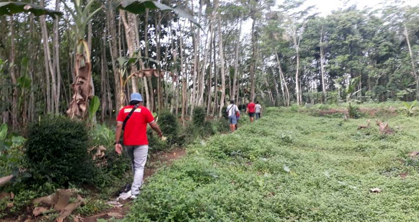 Warga Desa Tegalsari Kepanjen Digegerkan Penampakan Ular Raksasa