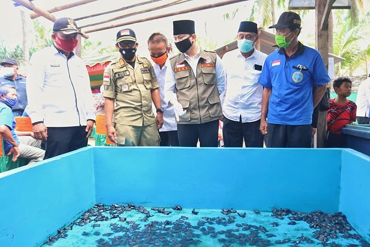 KONSRVASI PENYU : Bupati Trenggalek Mochamad Nur Arifin saat meninjau kawasan konservasi penyu di Pantai Gemawing Desa Masaran Kecamatan Munjungan.