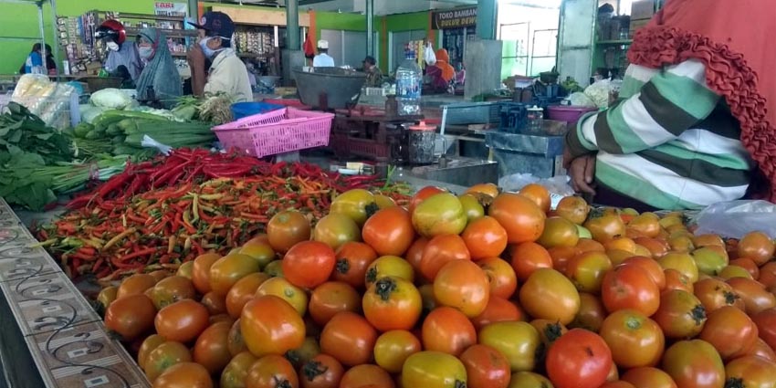 Sejak tiga minggu terakhir, harga tomat di tingkat petani hanya laku Rp 1.000 per Kg