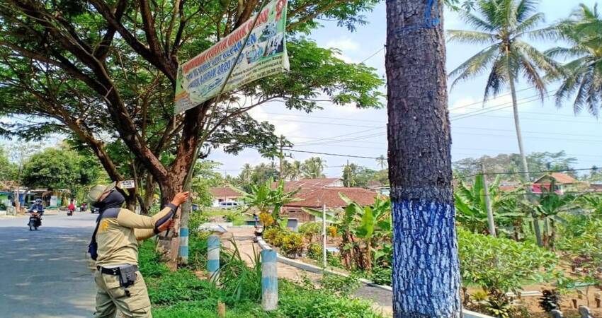 Anggota Satpol PP mencopot spanduk tak berijin di jalan-jalan wilayah Kabupaten Malang.