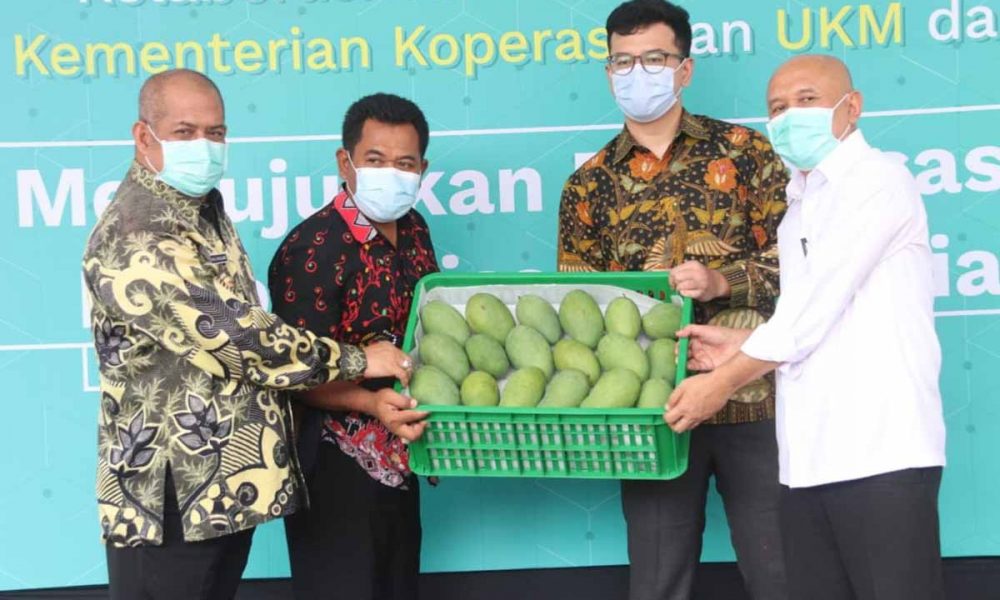 Pjs Bupati Malang Bersama Menkop UKM Kunjungi PPC TaniHub - Program kolaborasi untuk membangkitkan ekonomi kerakyatan