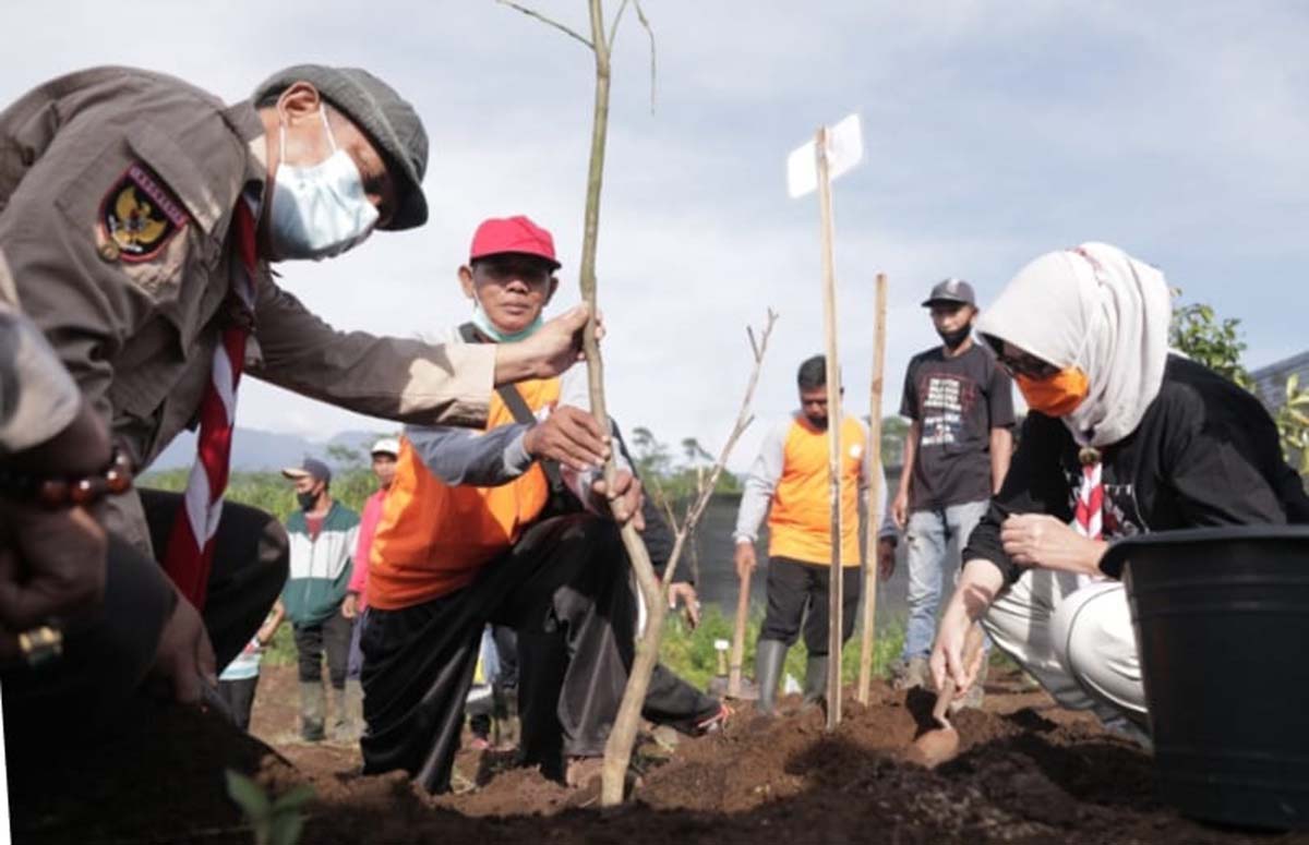 Wabup Bersama Pramuka dan PMI Tanam Seribu Pohon - Penghijauan Glagaharum