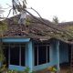 Rumah warga rusak tertimpa pohon yang terkena angin kencang.