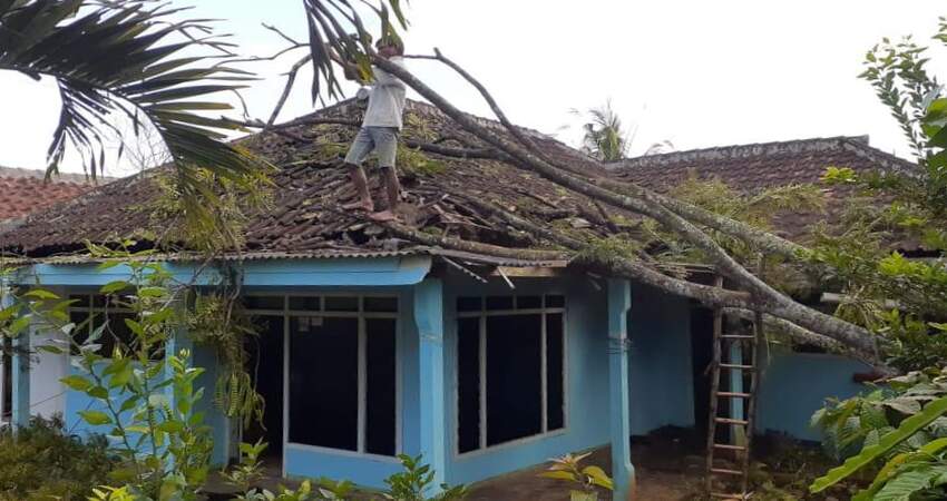 Rumah warga rusak tertimpa pohon yang terkena angin kencang.