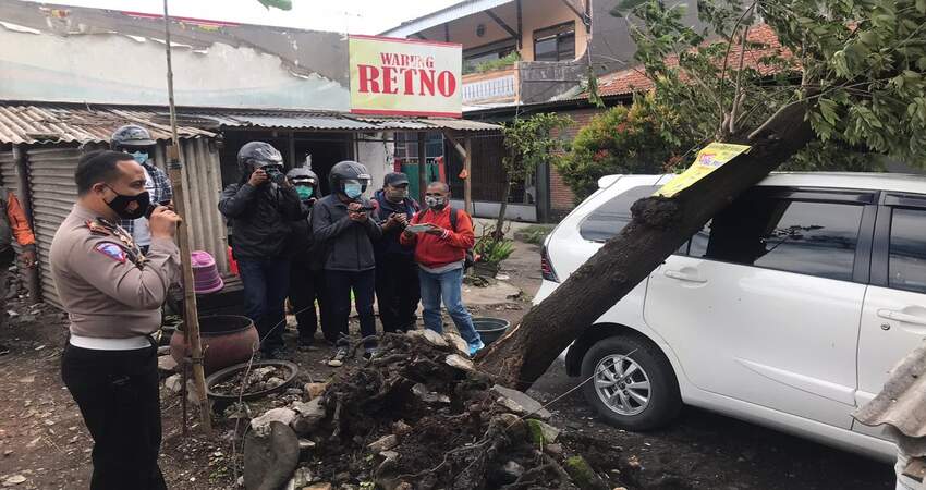 Mobil milik Retno tertimpa pohon. (ist)