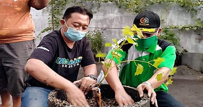 Eks Lokalisasi Dolog Jadi Pilot Project Kampung Anggur Lumajang