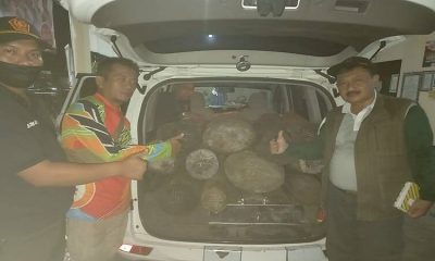 Polmob KPH Bondowoso Amankan Mobil Siaga Desa, Diduga Sebagai Sarana Illegal Logging Sono Keling