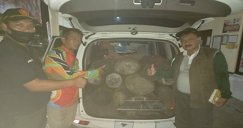 Polmob KPH Bondowoso Amankan Mobil Siaga Desa, Diduga Sebagai Sarana Illegal Logging Sono Keling