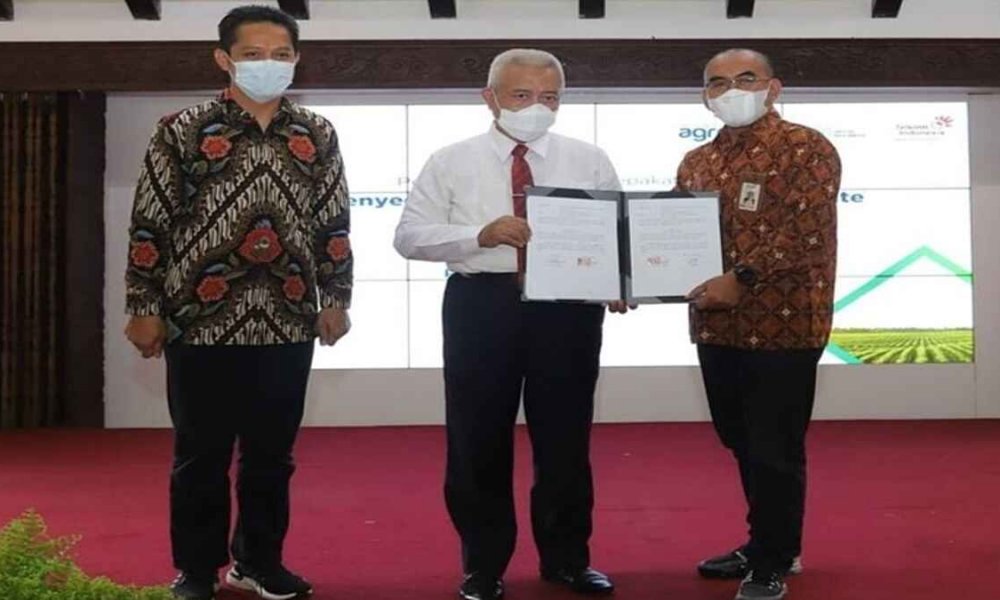 Bupati Malang Lakukan MoU Penyediaan Layanan Platform Agree Suite dengan PT Telkom Indonesia