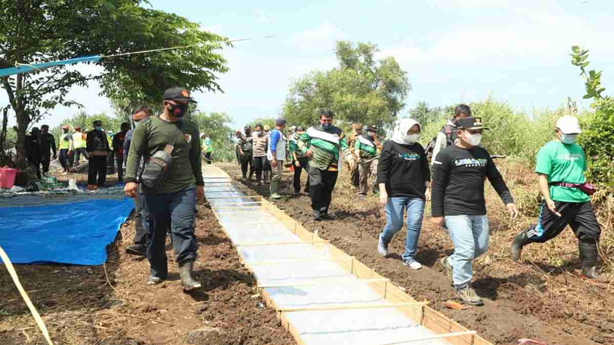 Bupati bersama Wabup Lumajang Tinjau Pembangunan Jalur Lama Pasirian - Tempursari