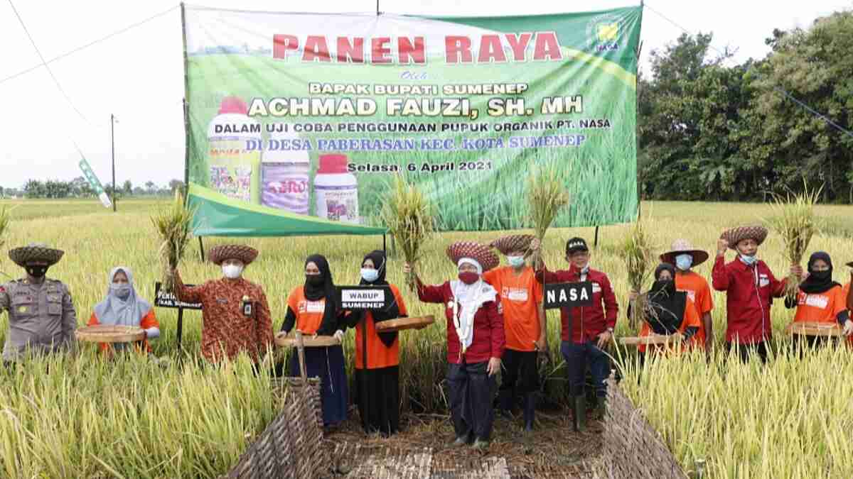 Kabupaten Sumenep Alami Surplus Beras 44.833 Ton