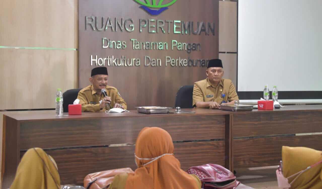 Petani Situbondo Bakal Digelontor Pupuk Urea Gratis