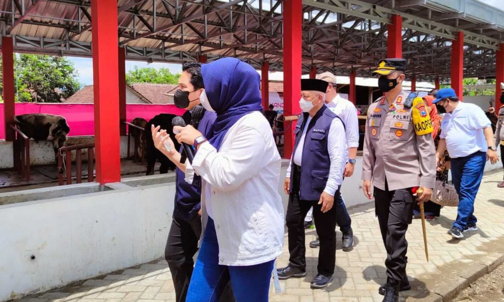 Dampingi Menteri BUMN Tinjau Kandang Komunal Penggemukan Sapi Berbasis IOT, Bupati minta Edukasi Digitalisasi Diterapkan di Kabupaten Malang