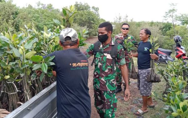 Antisipasi Abrasi Pantai, Koramil Banyuglugur Lakukan Penanaman Ratusan Bibit Mangrove