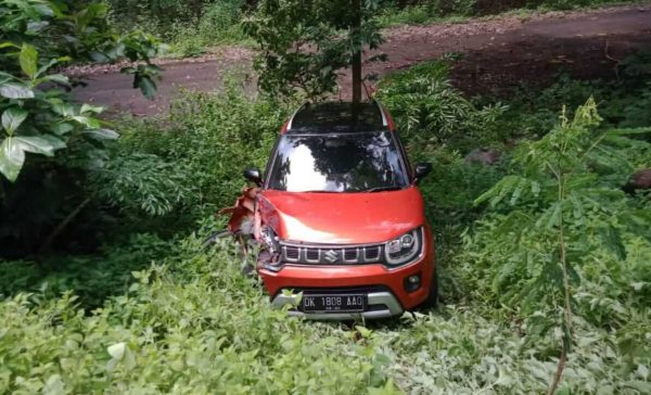 Hindari Kendaraan Bermasalah, Truk Box Tabrak Mobil hingga Terlempar ke Jurang