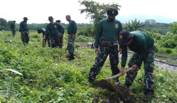 Jelang HUT Ke-45 Kolatmar, Prajurit Puslatpurmar 5 Baluran bersama Masyarakat Binaan Tanam 1000 Pohon