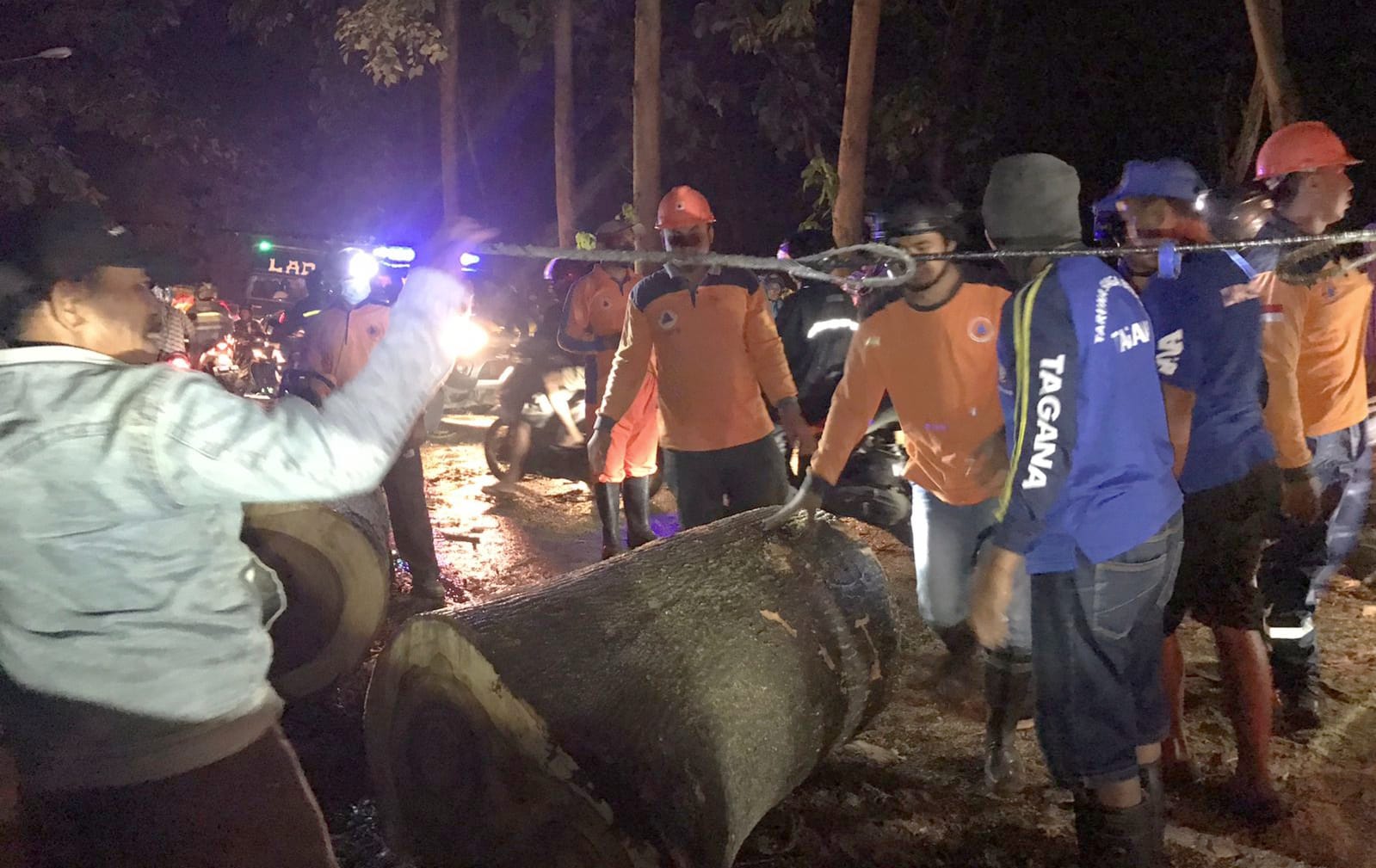 Hujan Deras dan Angin Kencang Kembali Porak-porandakan Situbondo, Pohon Tumbang Hentikan Jalur Bondowoso-Situbondo