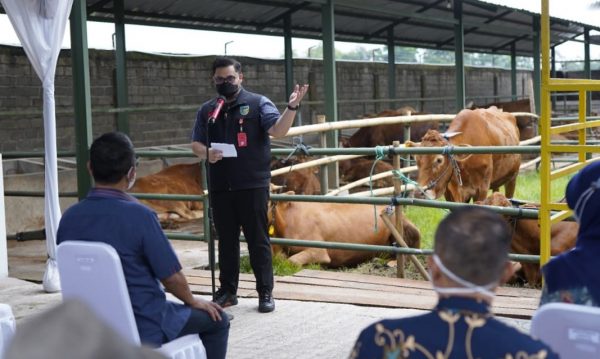 Canangkan Kemandirian Pangan, Mas Dhito Rangkul PT Korina Group Gelontorkan Hibah Sapi ke Tiga Desa di Kediri