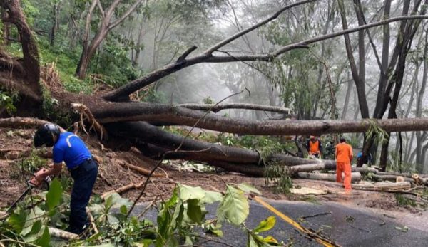 Bencana Longsor Tutup Badan Jalan Trenggalek - Ponorogo, Akses Seluruh Kendaraan Sementara Dialihkan