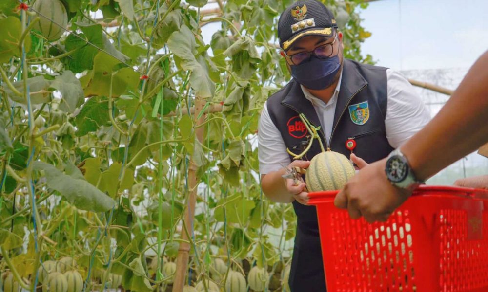 Mas Dhito Dorong Milenial Kediri Gunakan Teknologi Pertanian hingga Bisa Ekspor