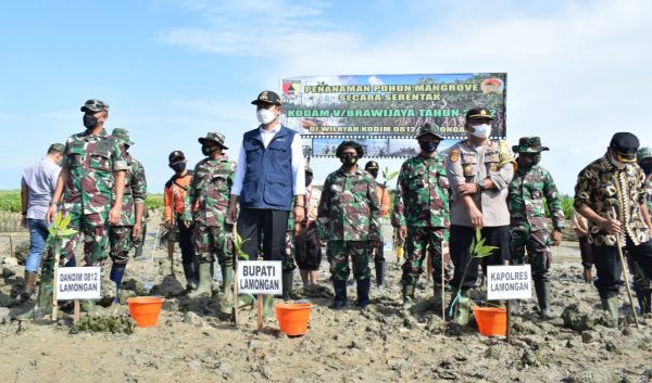 Pemkab dan Kodim 0812 Sinergi Jogo Pesisir Pantai Lamongan dengan Taman Mangrove