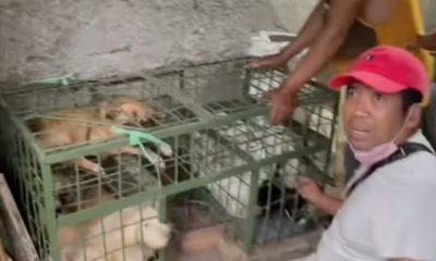 Aktivis Animals Hope Shelter Laporkan Dugaan Tempat Jagal Anjing ke Polres Blitar