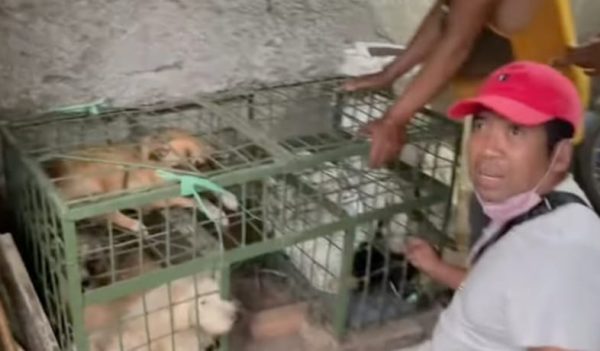 Aktivis Animals Hope Shelter Laporkan Dugaan Tempat Jagal Anjing ke Polres Blitar